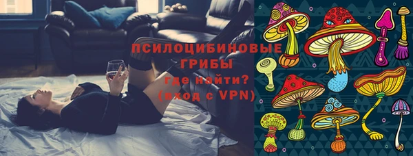ПСИЛОЦИБИНОВЫЕ ГРИБЫ Алексеевка